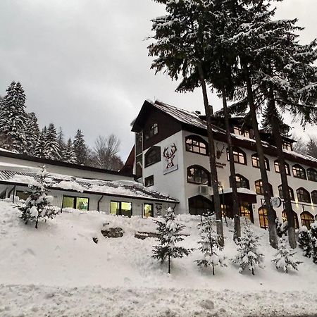 Cerbul Chalet Accommodation & Wellness Rîşnov Luaran gambar
