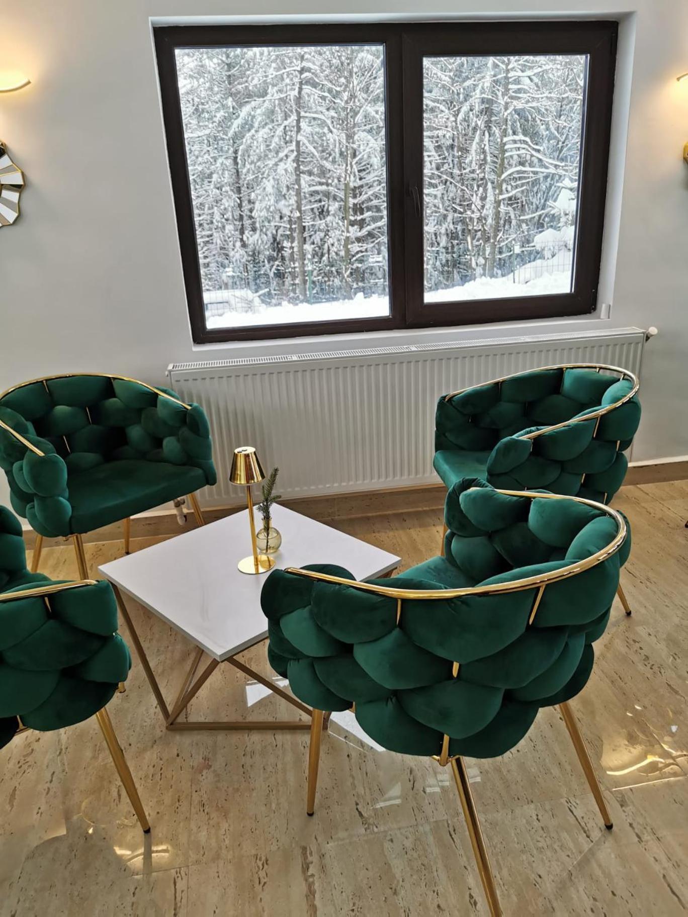 Cerbul Chalet Accommodation & Wellness Rîşnov Luaran gambar