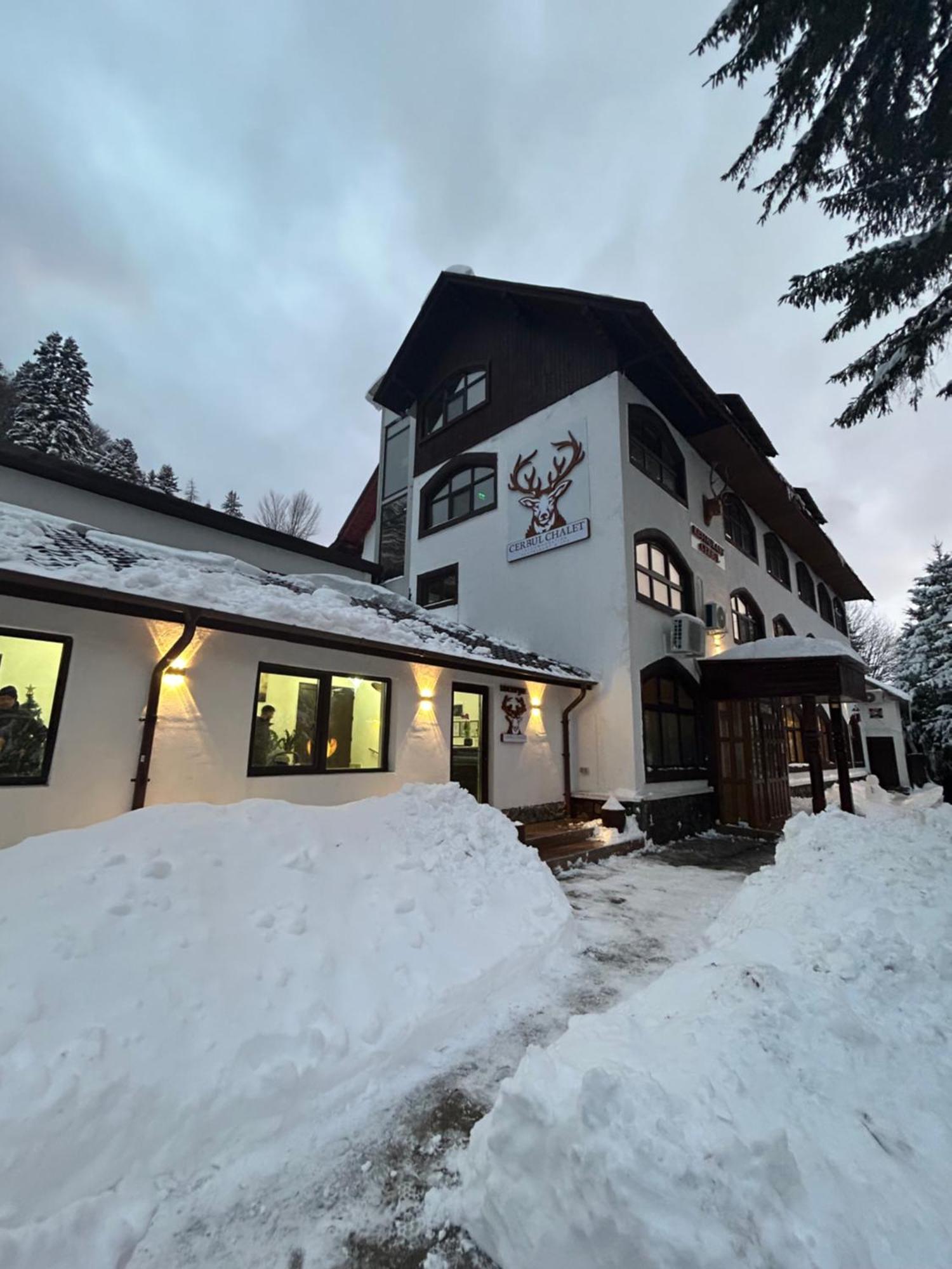 Cerbul Chalet Accommodation & Wellness Rîşnov Luaran gambar